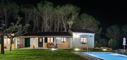 Villa Pine Forest