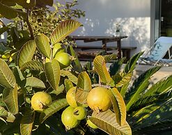 Herdade do Kuanza