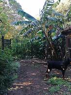 Sofi's Hostel Monteverde