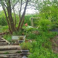 Duck House