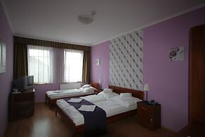 Hotel Patonai