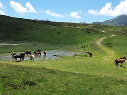 Les Hauts de Hurlevents - Le Buffalo
