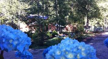 Cabañas Pucon - Caburga