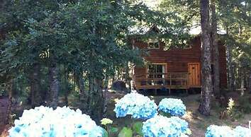 Cabañas Pucon - Caburga
