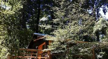 Cabañas Pucon - Caburga