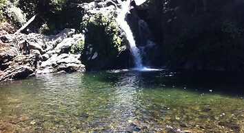 Cabañas Pucon - Caburga