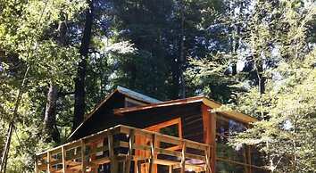 Cabañas Pucon - Caburga