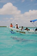 Hotel Cielo y Selva