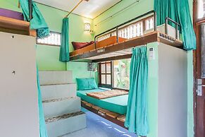 Padi-Padi Hostel & Bar