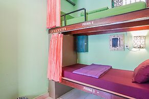 Padi-Padi Hostel & Bar