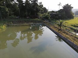 Guesthouse Beluru