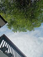 Hotel AONO