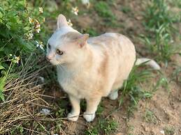 White Cat B&B