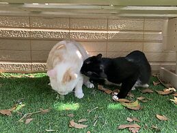 White Cat B&B