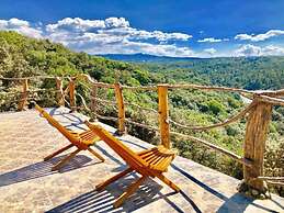 Hotel Villa del Bosque
