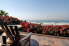 Carpe Diem