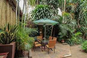 Acorn B&B in Durban