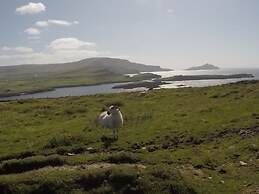 Seagull Cottage B&B