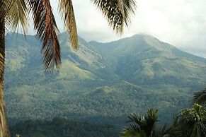 woodrose resort