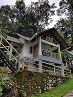 woodrose resort