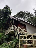 woodrose resort