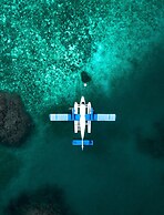 Brennia Kottefaru
