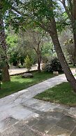 Tenuta Sidore
