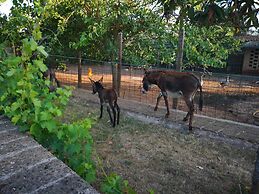 Masseria Provenzani