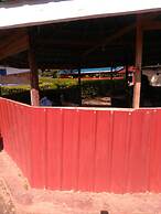 Brisa Caribbean