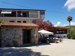 Il Moro della Molpa