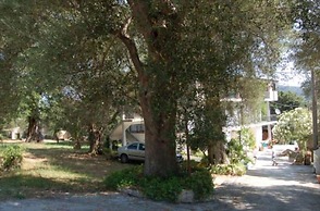Il Moro della Molpa