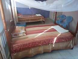 Falish Hotels