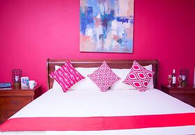 Premier Taylormade Apartment Kingston