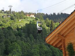 Glacier Views & Ski Trails
