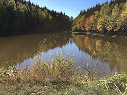 Ferienhaus im Harz Nahe Skipisten