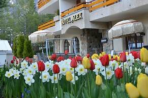 Hotel Alex