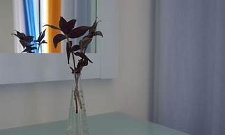 Hotel Phoenix