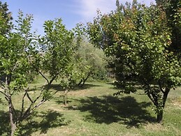 Provence Roulottes Hébergement insolite