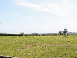 Saddlebacks Barn