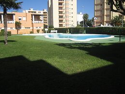 Juncos 26