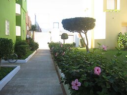 Juncos 26