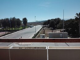 Juncos 26