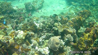 Beachcliff Villa Negril