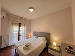 Orchidea
