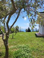 Villa Faro