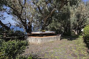 Ville Pini e Aurelia