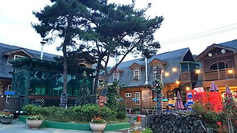 SSE Log Town