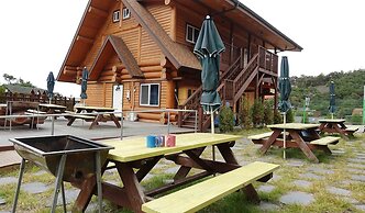SSE Log Town