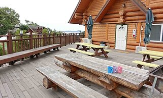SSE Log Town