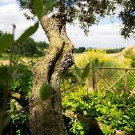 Tenuta Capizucchi